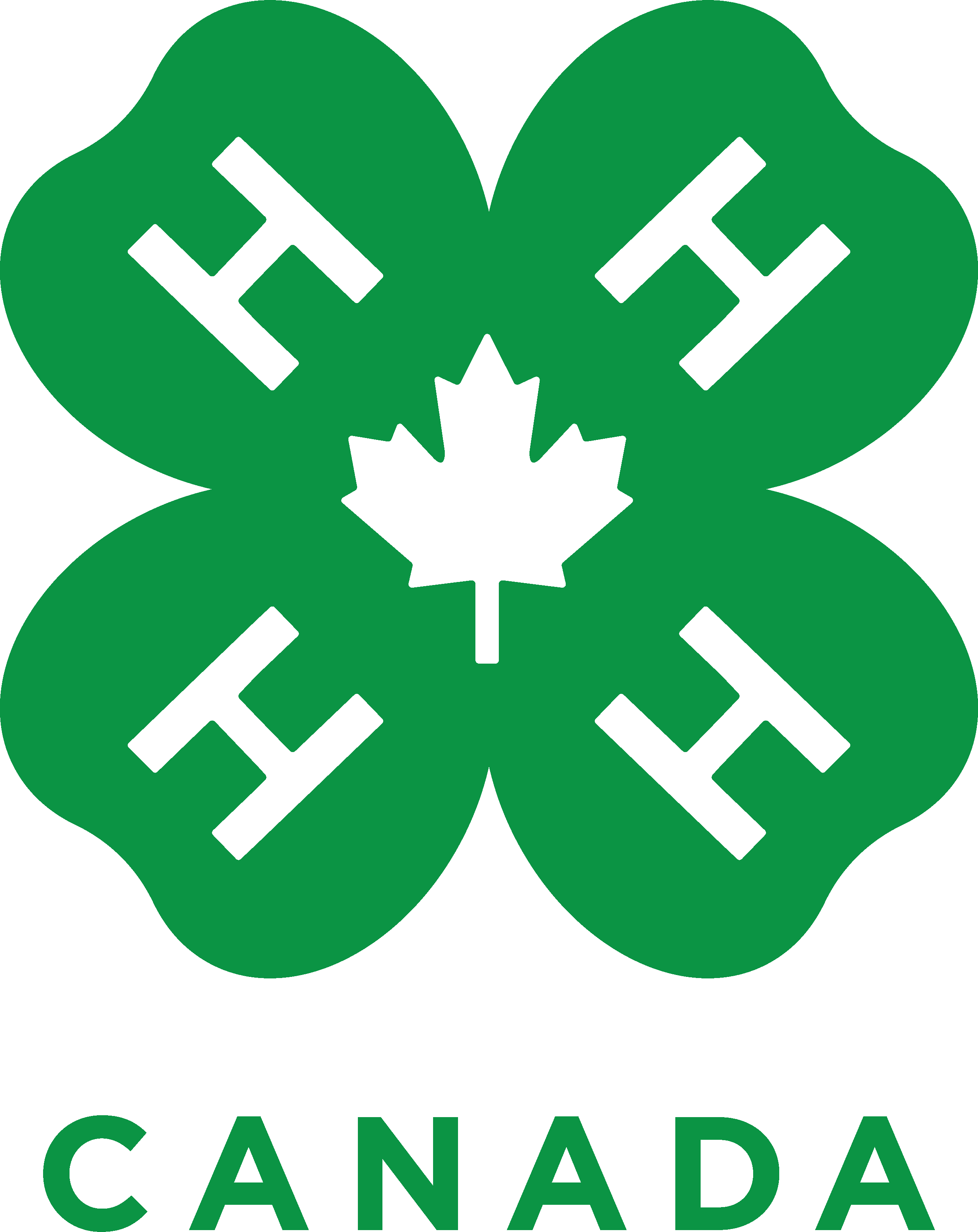Apply for 4-H Canada National Opportunities logo