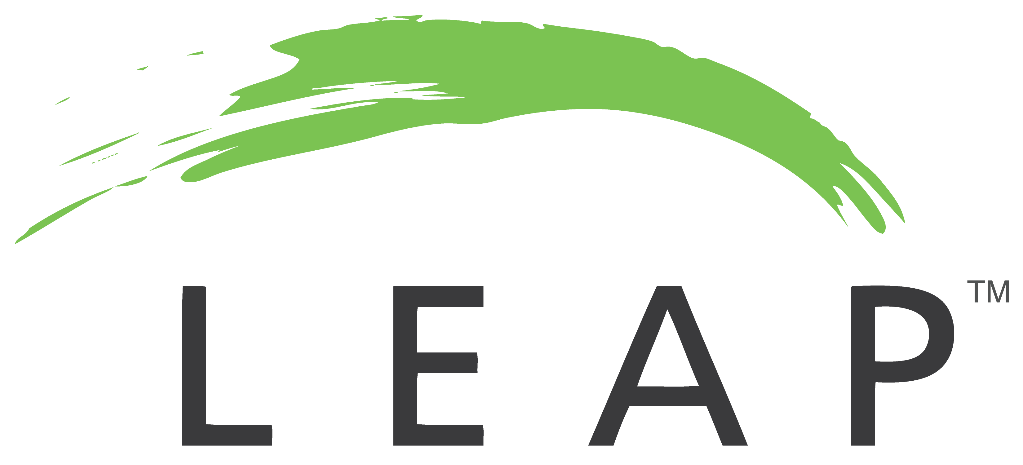 Leap Foundation logo
