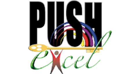 PUSH Excel logo
