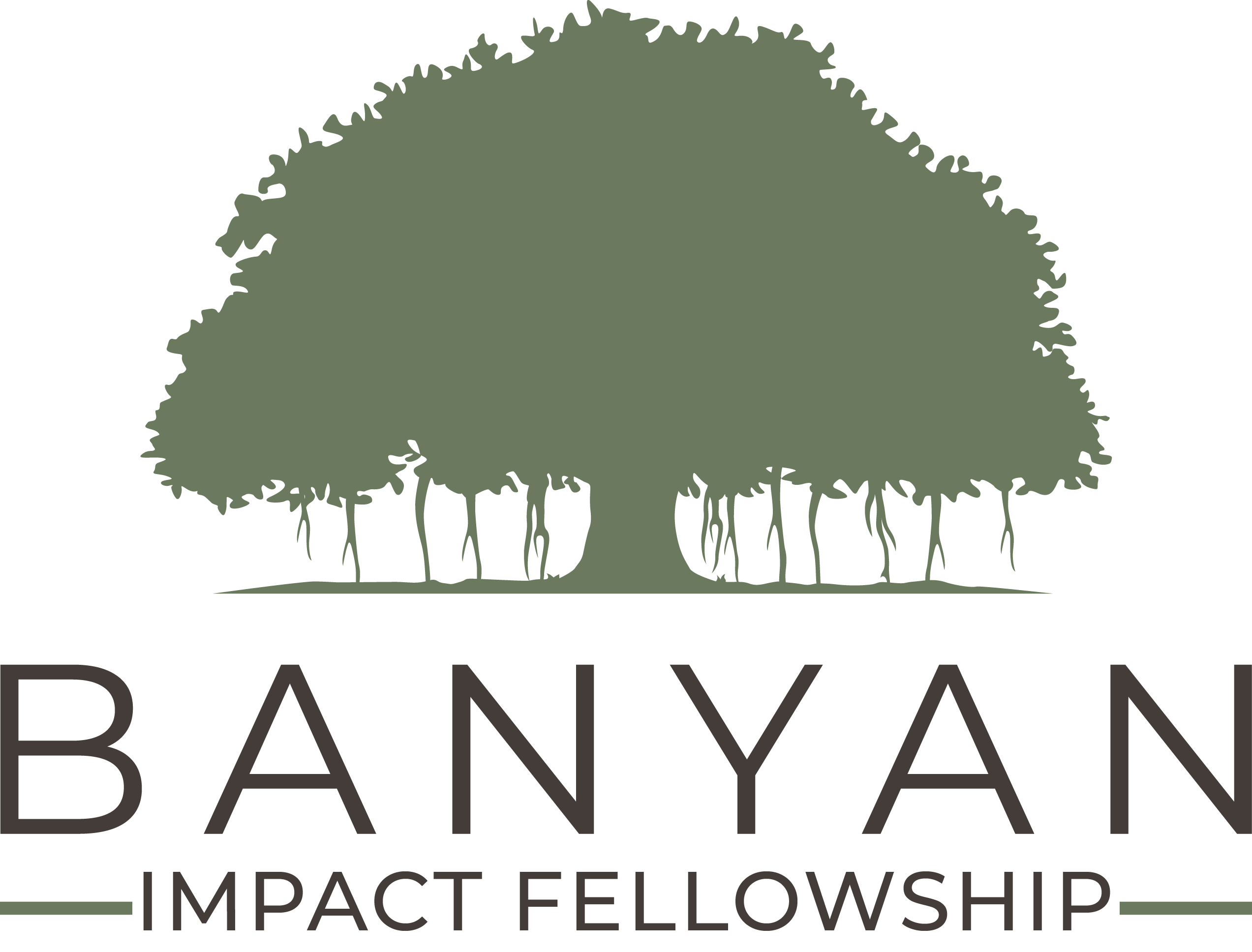 AIF Banyan Impact Fellowship logo