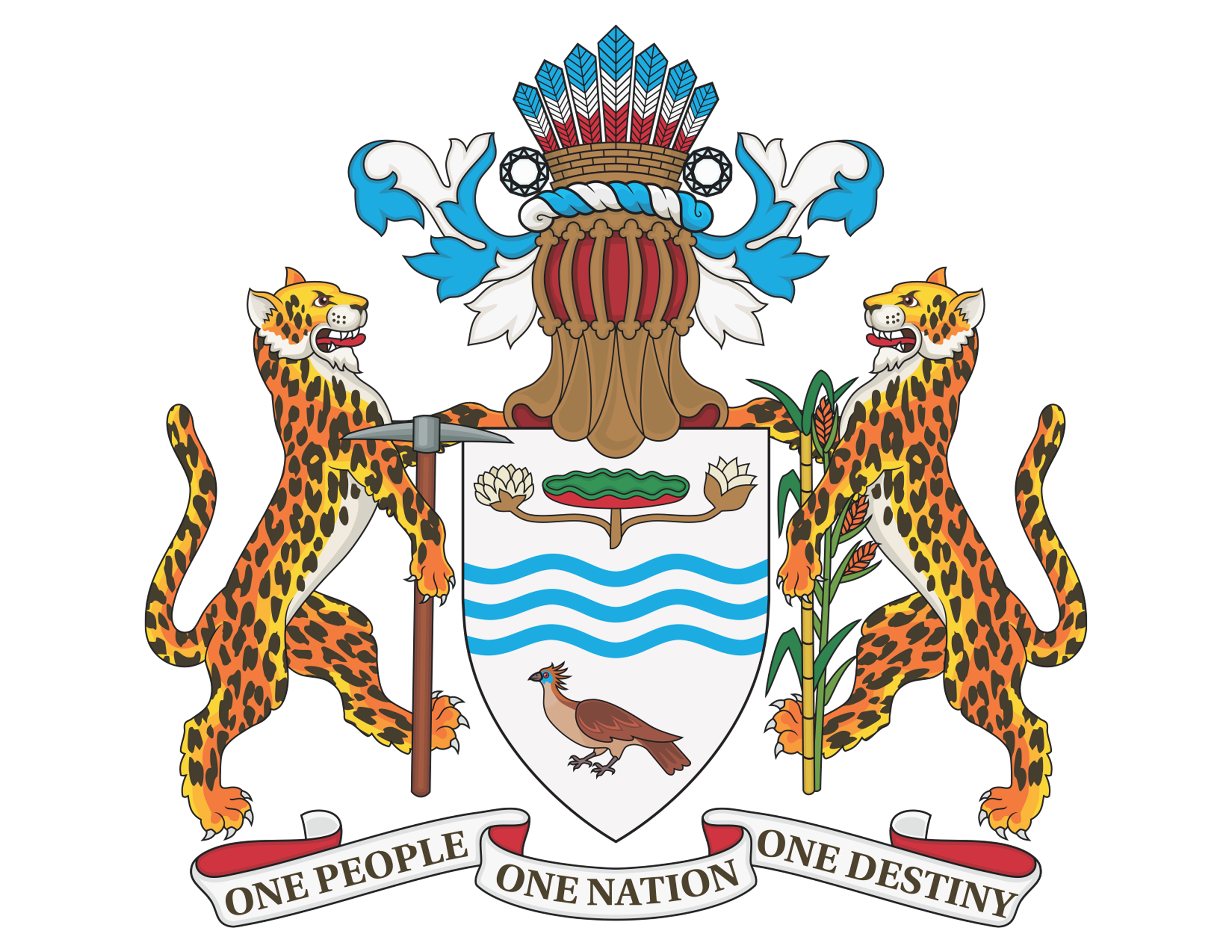 Government of Guyana logo
