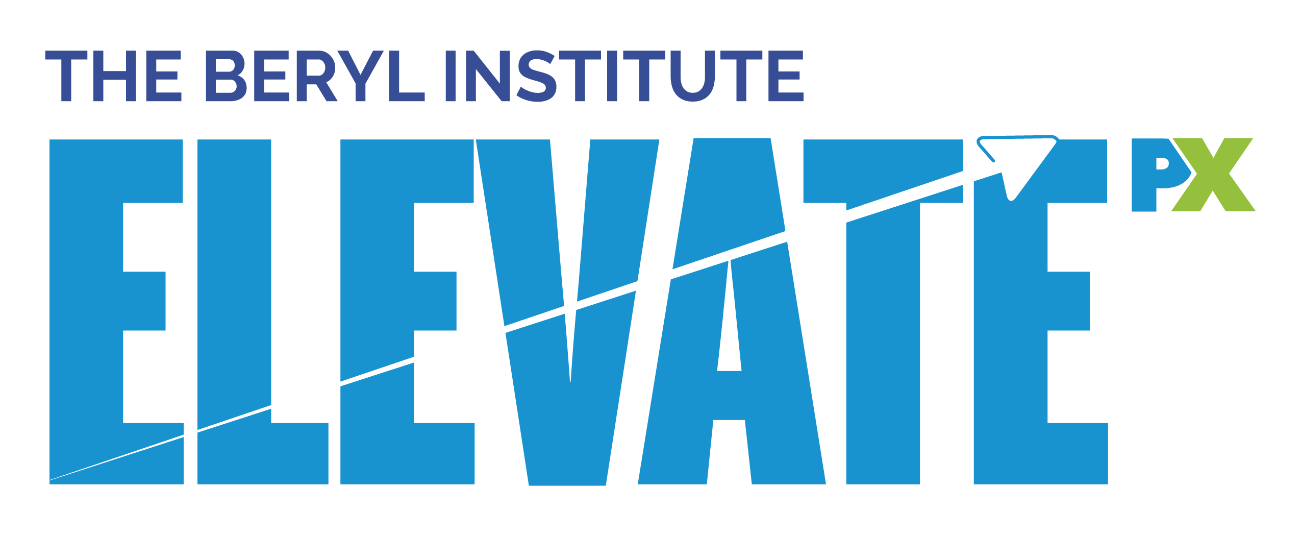 The Beryl Institute Call for Submissions logo