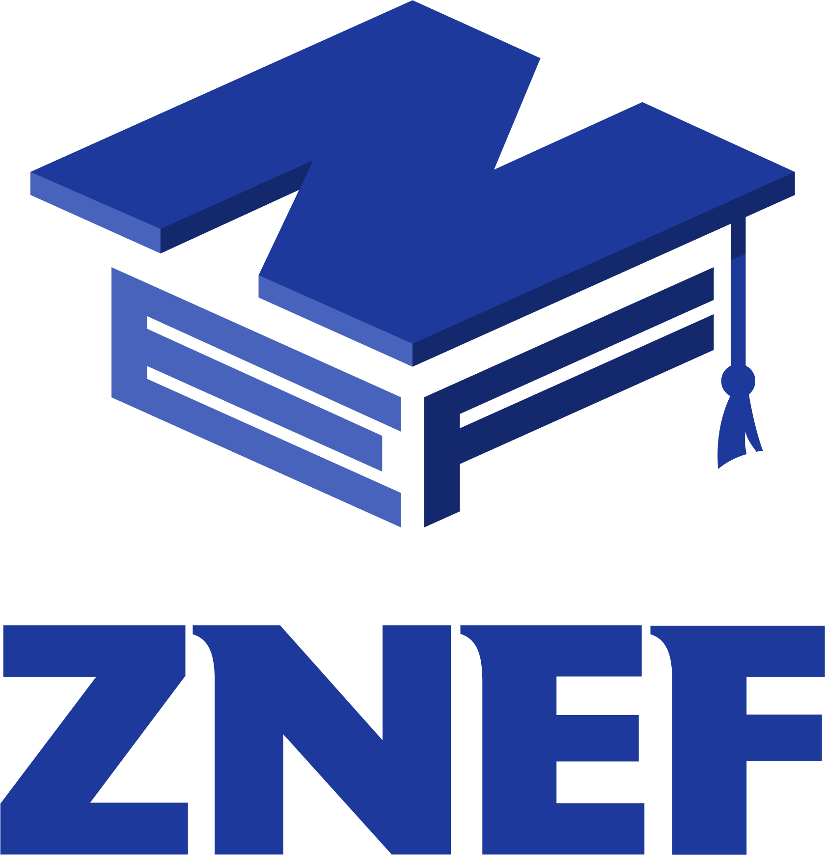 Z-NEF Scholarship Portal logo