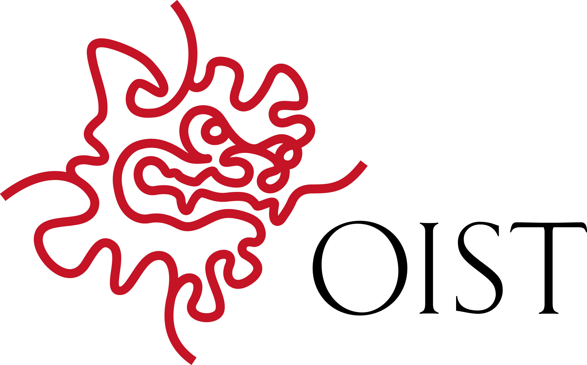 Okinawa Institute of Science and Technology Graduate University (OIST) logo